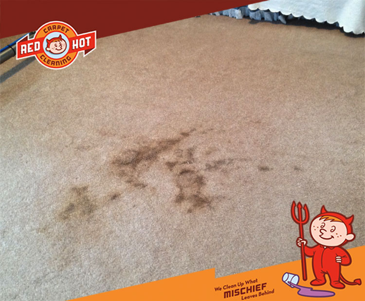 Carpet Cleaning Bellefonte PA - Potting Soil - Before Picture