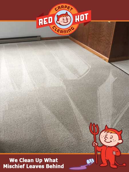 Carpet-Cleaning-State-College-Lillian-Circle