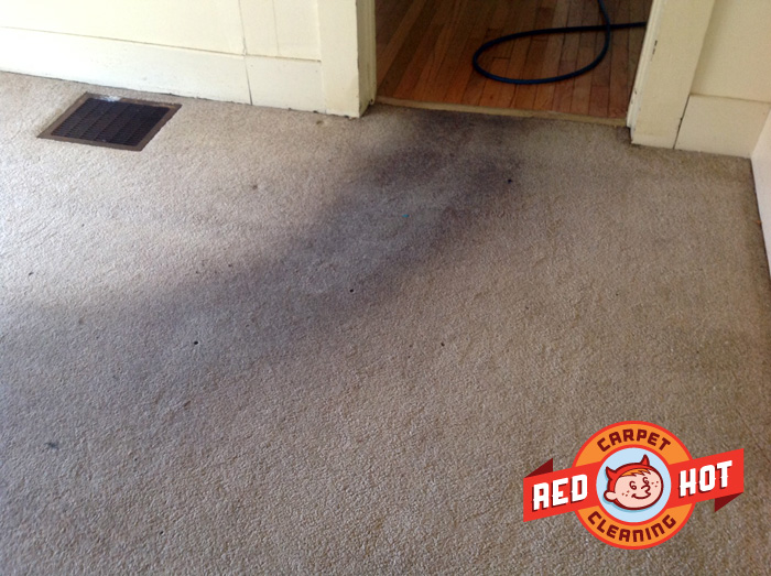 Dirty Apartment Cleaning - State College - Red Hot Carpet Cleaning