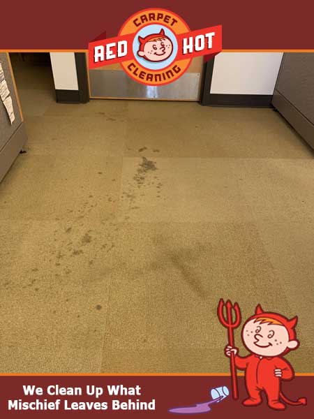 Coffee Spill Stain Remover Carpet Cleaning
