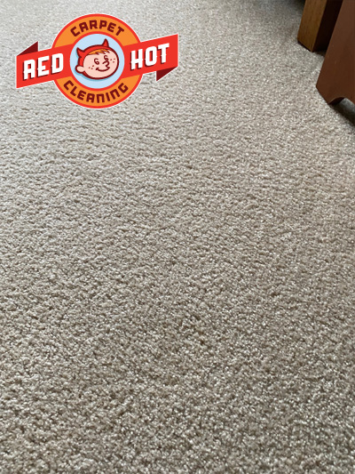 Iodine Stain Remover Carpet Cleaning After