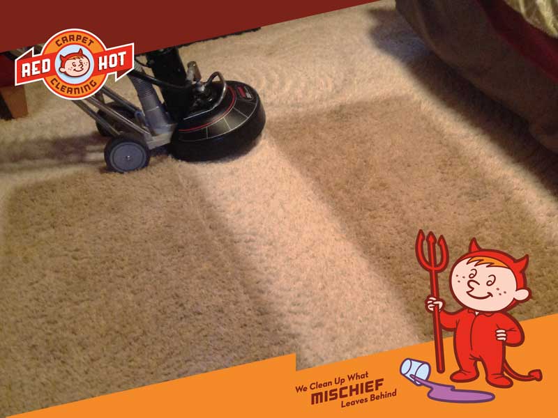 Carpet Cleaning Port Matilda PA - Dirty Carpet with Spray On Tan