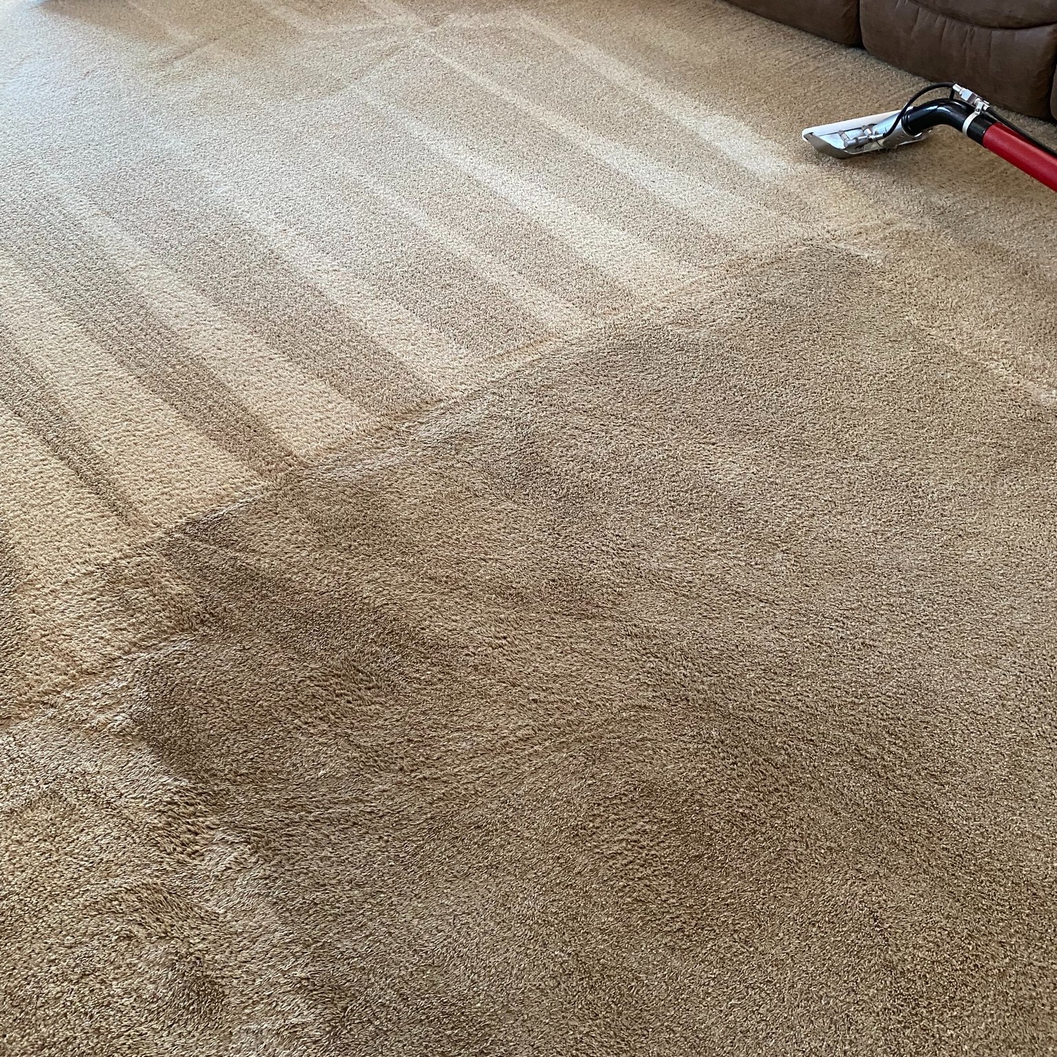 🌟 Transform your Carpet with Red Hot Carpet Cleaning! 🌟