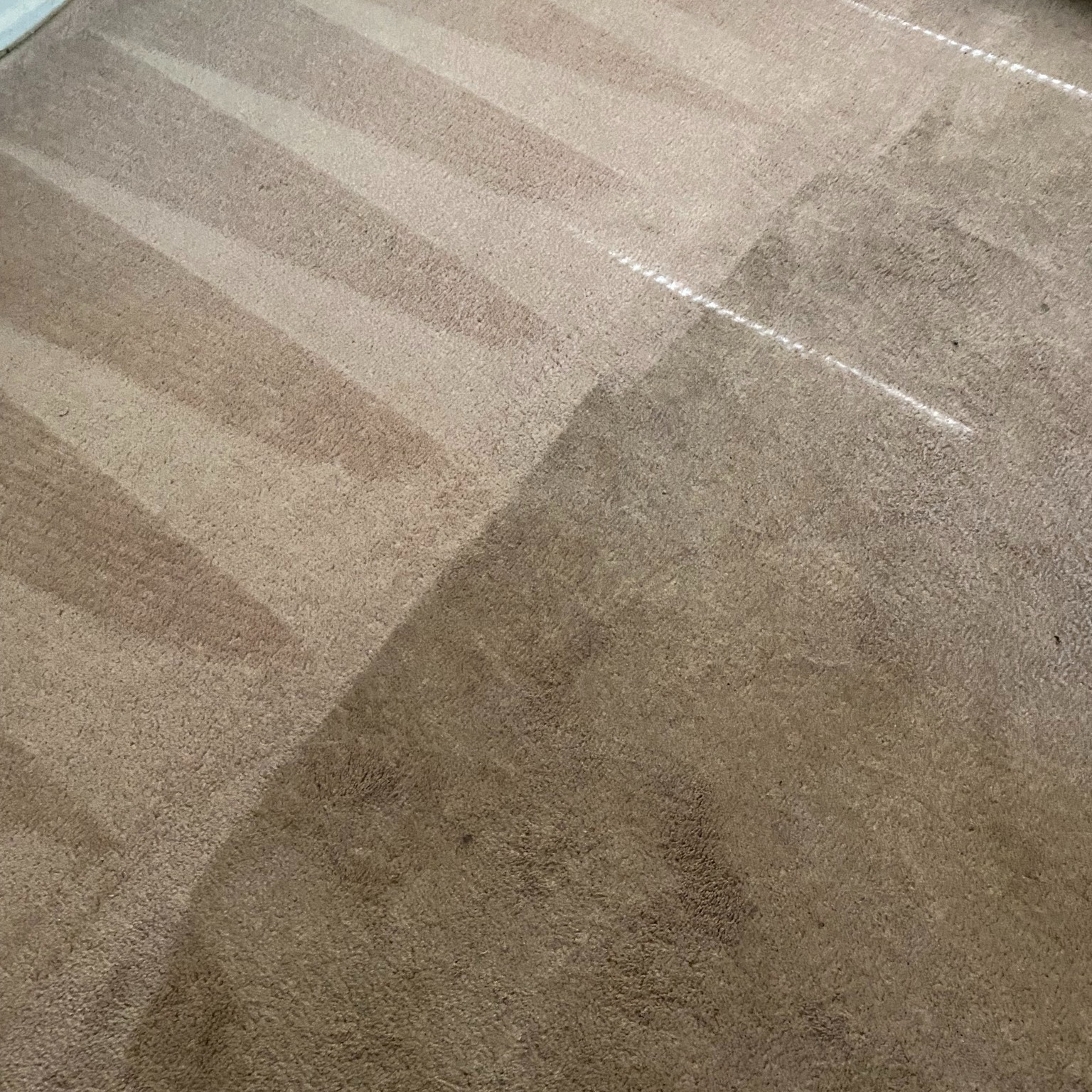 🌟 Transform your Carpet with Red Hot Carpet Cleaning! 🌟