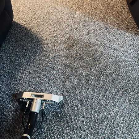 Why Professional Carpet Cleaning Is Worth It